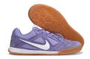 Nike Gato SB