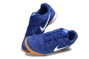Nike Gato SB