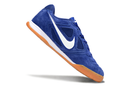 Nike Gato SB